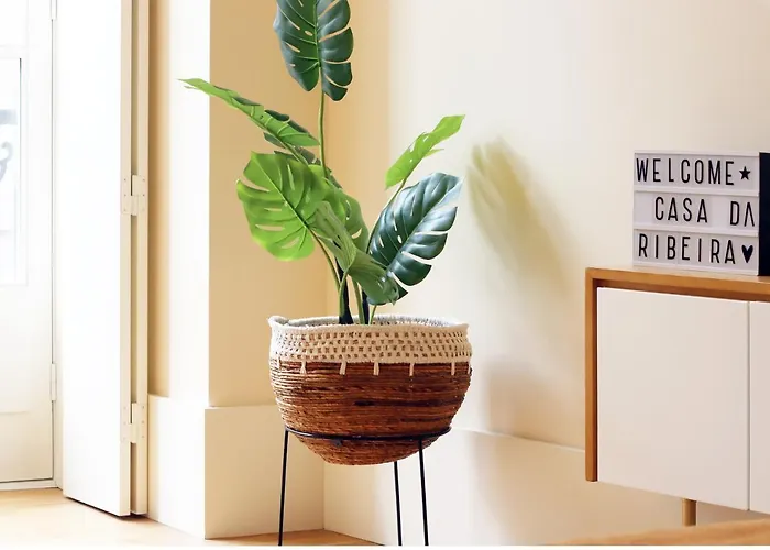 Hm - Ribeira Sao Joao 2e Apartman *